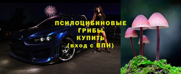 трава Аркадак