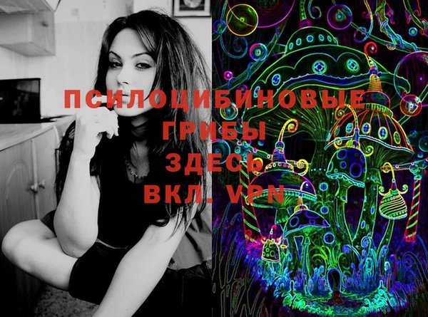 трава Аркадак