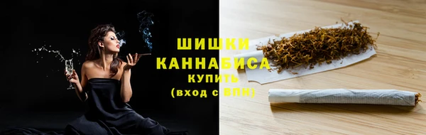 индика Сатка